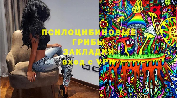 амф Карпинск
