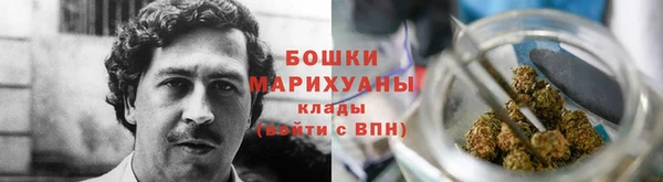 амф Карпинск