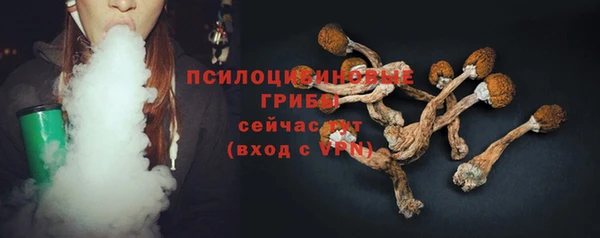 амф Карпинск