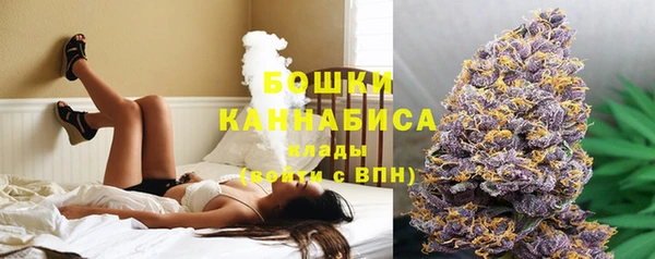амф Карпинск