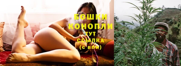 амф Карпинск