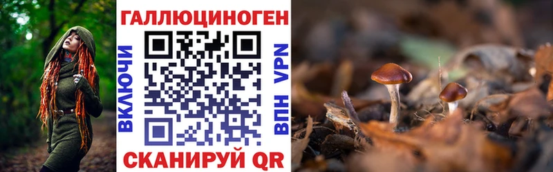 Галлюциногенные грибы MAGIC MUSHROOMS  Купить  Коммунар 
